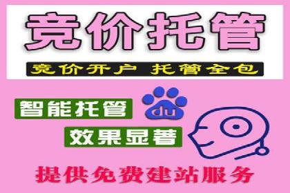 SEM竞价优化案例分析：关键词策略调整效果显著